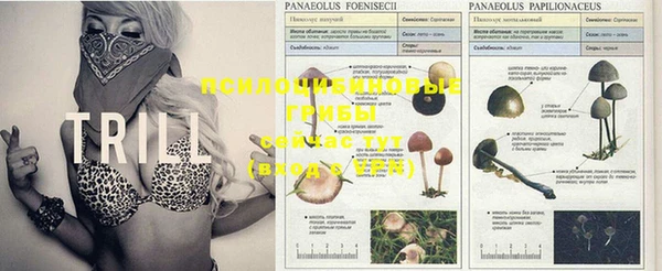 марихуана Снежинск