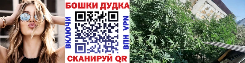 Купить где  Шумерля  МАРИХУАНА конопля